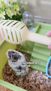FOCAT Sekop Pasir Hamster F35 Multifungsi Litter Scoop / Serokan Pasir Hewan