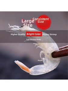 Dried Lightly Dried Salt Free Fresh Sun Dried Shrimp Peels