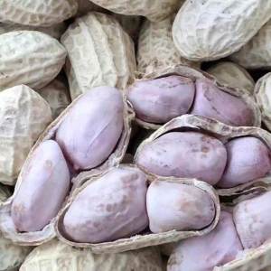 Garlic Flavored Peanuts Spicy Seasoned Roasted Nuts 500g