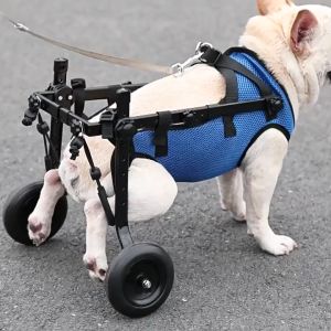 Pet Dogs Cats Wheelchair Walking Assistance Rehabilitation Booster Aid Cart for Dog Hind Leg Support