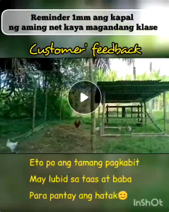 Plastic Net Screen for Chicken  Chicken Net 100/50/30/20M Purchase with Elastic Ties Poultry/Fish/Fence Netting