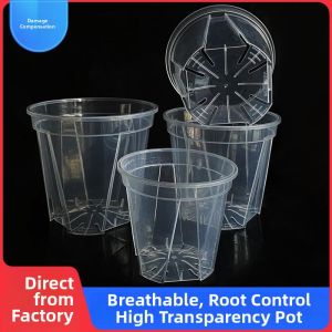Translucent Root-Control Breathable Flower Pot