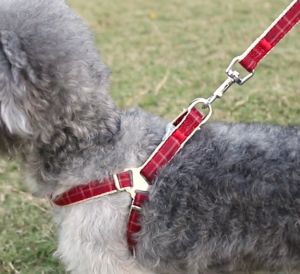 Bộ dây dắt cho Chó Mèo kèm đai yếm sọc Taotaopets - Love Pets Shop