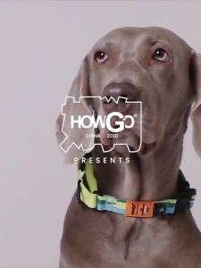 howgo | Anti-burst Dog Collar for Medium to Large Dogs