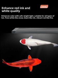 JiYin | Enhancing Color Carp Aquarium Light