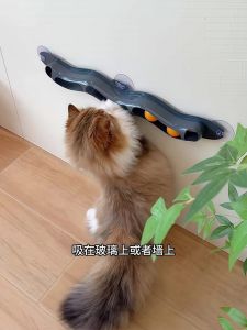 Track Bell Ball Cat Toy Self Entertaining De-Stress Tool Interactive Cat Ball Expenditure of Energy Cat Teaser Pet Supplies