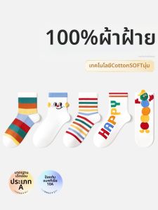 Cotton Light Thin Mesh Breathable Socks for Spring and Summer Medium