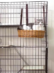 PaPaPet Cat Cage 2/3/4 Layers With Wheels Big Pet Cage For Cat Villa Large Cat Cage With Litter Box Foldable & Portable With Removable Tray