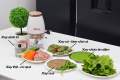 Máy xay Osaka xay thịt sinh tố đa năng 700ml, máy xay mini đa năng 700ml chính hãng xay sinh tố thịt cá các loại. 