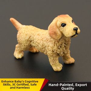 MENGSILE | Solid Educational Display Dog Model