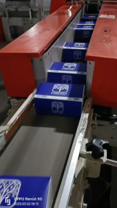 PINELEAF Premium Facial Tissue  100g