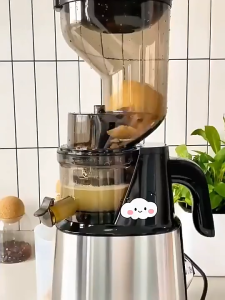 Cold Press Juicer with 200W 65RPM Powerful Motor Slow Masticating Juice Extractor Fits Whole Fruits