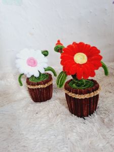 Bunga pot pipe clainer (bunga kawat bulu)