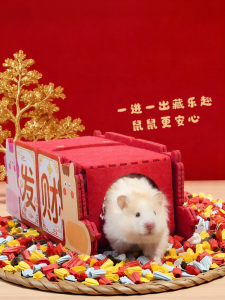 TIYES | Winter Warmth Hamster Bed