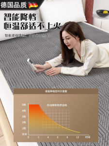 Double-Control Zone Heating Blanket 2025 New Model Adjustable Temperature Electric Quilt for Home Use And Dormitory