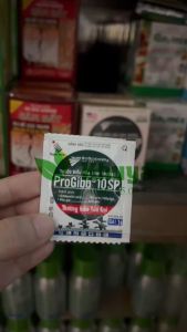 Chất kích thích điều hòa tăng trưởng ProGibb 10SP gói 1gr