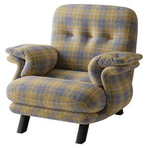 NANGUAHEZI | Single Person Vintage Luxury Sofa Chair with Armrest and Backrest