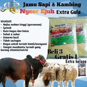 JAMU SAPI NYEOR EJUH PENGGEMUK SAPI PENGGEMUK KAMBING
