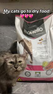 1kg Monello Cat Salmon Dry Food Urinary Tract Health Cat Cats Dry Food Pet Essentials