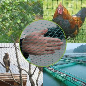 UNIVONNA Chiken Net RANGE NET 1inch/1.25inch/1.5inch/2inch BY 100 METERS FREE 200 METER ROPE & CABLE TIE CHICKEN NETS