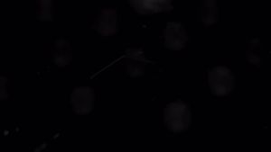 Ledger Stax Crypto Hardware Wallet