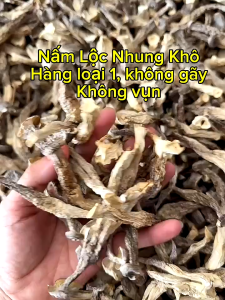 Nấm Lộc Nhung (Nấm Nhung Hươu)