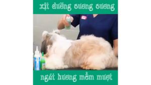 Nước hoa thiên nhiên dưỡng lông Tropiclean cho chó mèo xuất xứ Mỹ 236ml