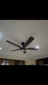 REGAIR Vida DC Motor Ceiling Fan with Light 56" 5Blade 16Speed 10000CFM Remote Control 12-year warranty