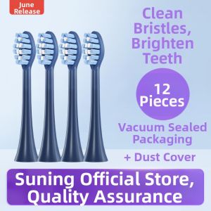 Early June Compatible FLYCO Electric Toothbrush Head FT7105 Special TH01 Replacement Toothbrush Head Deep Cleaning Adult Normal Specification