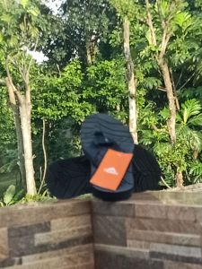 SANDAL JEPIT GUNUNG PRIA WANITA DEWASA DAN ANAK BISA COD DAN GROSIR
