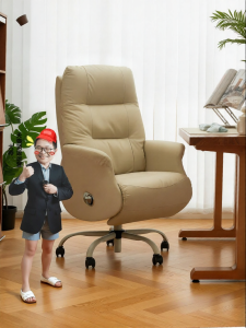 BOJOJAN | Adjustable Sleeping Computer Chair