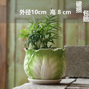 Large Diameter Ceramic Plant Pot with Tray Creative Home Use Succulent Plant Pots Festive Supplies Gift Idea Big Size Pots