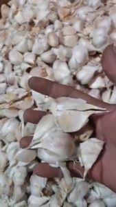 Bawang PUTIH KATING - 1 Kg - LPJ