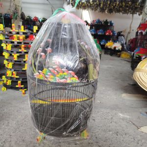 SANGKAR BURUNG SUPER TERBARU MOTIF ALAM KANDANG PERKUTUT MURAH BERKUALITAS BERBAGAI PILIHAN