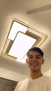 Nordic Style Square Symmetry LED Lamp Ceiling Light 3-color Dim Remote Control Bedroom Light Center Light Ceiling Lamp