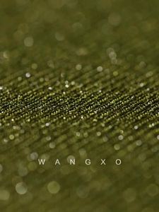 WANGXO | Áo Knit Ôm Body Voan Asymmetrical Không Tay Khoe Vai Có Dây Kéo Tại Eo