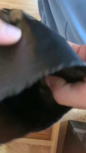 1kg bầu ươm cây giống đủ kích thước