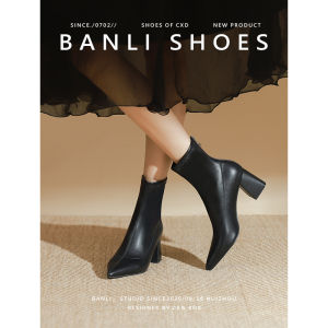 Korean Style Chunky Heel Short Boots Womens Autumn New Chestnut Pointed Toe High Heel Slim Booties Fashionable Winter Boots