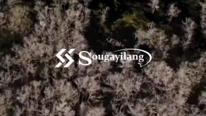 Sougayilang Fishing Rods 1.8-2.4m Ultralight Carbon Fiber Spinning Rod and Casting Rod Max Drag 10Kg for Bass Pike Trout Fishing