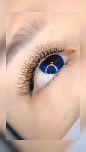 พร้อมส่งในไทย ขนตาตัวYY ขนตา Yelix รวมไซด์และแยกไซด์ ขนตานุ่ม สวย ขนตาyy ขนตาปลอมธรรมชาติ