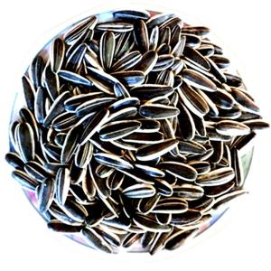 Large Particle Raw Sunflower Seeds from Inner Mongolia  Crispy Original Flavor Unshelled Snack 5 Pounds Bulk Bag