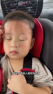 【READY STOCK】Japan Mosquito Repellent Gel | Long-Lasting Insect Repellent | Safe for Home & Outdoor 日本香茅叮叮