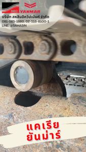 แคเรีย ยี่ห้อ ยันม่าร์ รถขุด - Eco-Y 100% เพื่อการเสริมความสูงสุด ระหว่าง 30, 35, 50 และ 55 วิตามิน