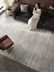 XIANGSU | Minimalist Wash-free Waterproof Luxury Advanced Feel Insulating Carpet Large Area