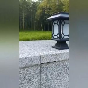 Lampu Pagar Taman Surya 5 LED Model Minimalis Besar / lampu tenaga surya Sensor Cahaya Untuk Pagar Taman