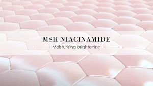 DOCTOR TONY MSH Niacinamide Brightening Moisture Gel Glowing Repair Barrier Fades Dark Spot 70g - Lazada