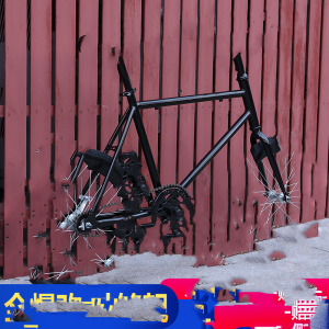 All Change Fixed Gear Bike 20-Inch Warped Head Action Handle Small Tooth Plate Olive Chain Male Student Gold-Plated Bicycle