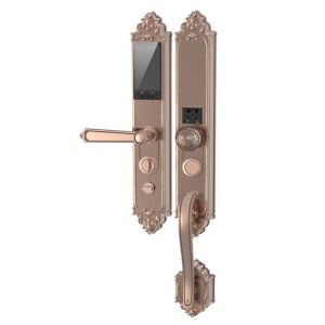 JINRONG | 3D Face Recognition Smart Door Lock with Video Surveillance Fingerprint and Password for Home Security