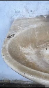 CLINK Pembersih kerak toilet lantai kamar mandi Toilet Cleaner Serbaguna cukup di kuas