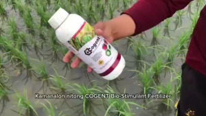 Cogent 1L Bio Stimulant Fertilizer – Best Organic Foliar Fertilizer for Healthy Crop Growth & Yield